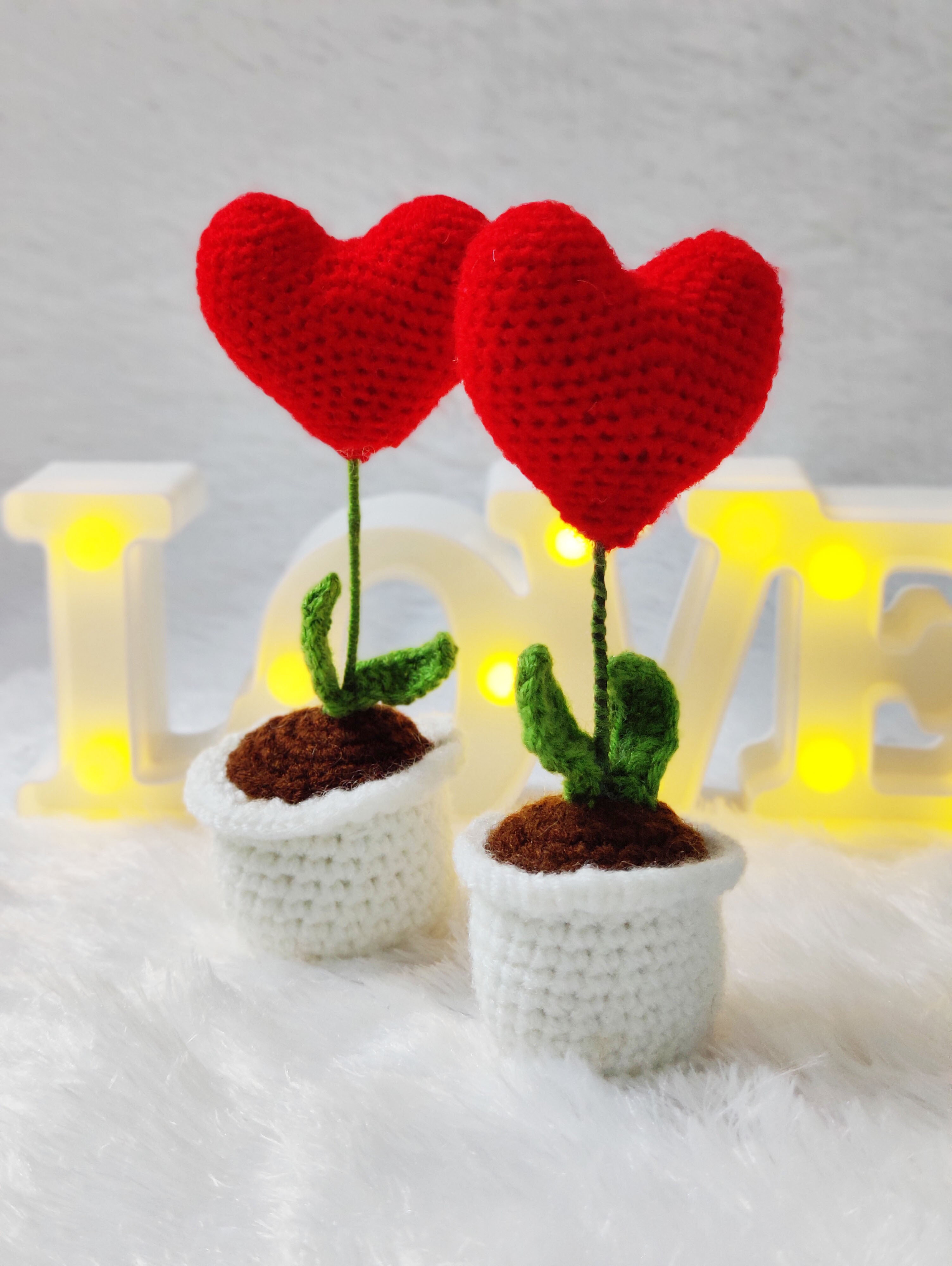 Crochet Heart Flowerpot Set of 2