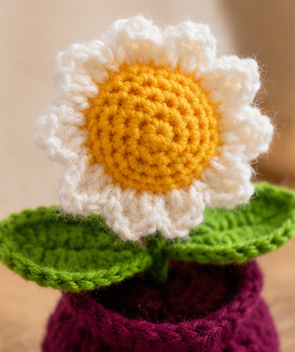 Crochet Handmade White Sunflower Pot (1 steam)