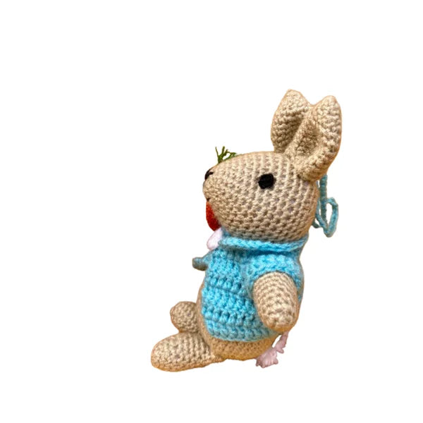 Crochet Handmade Peter Bunny Toy